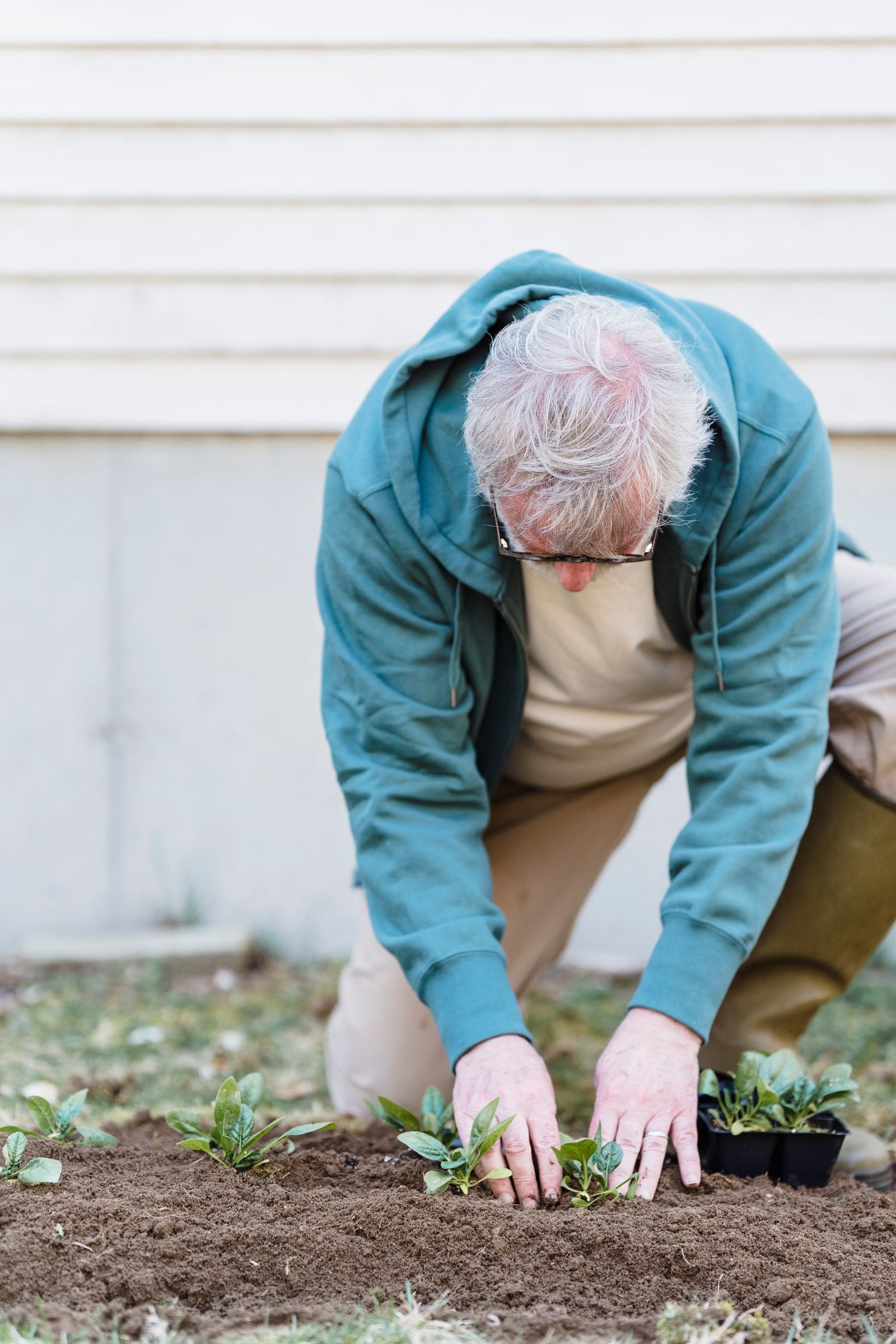 Garden Maintenance & Aftercare