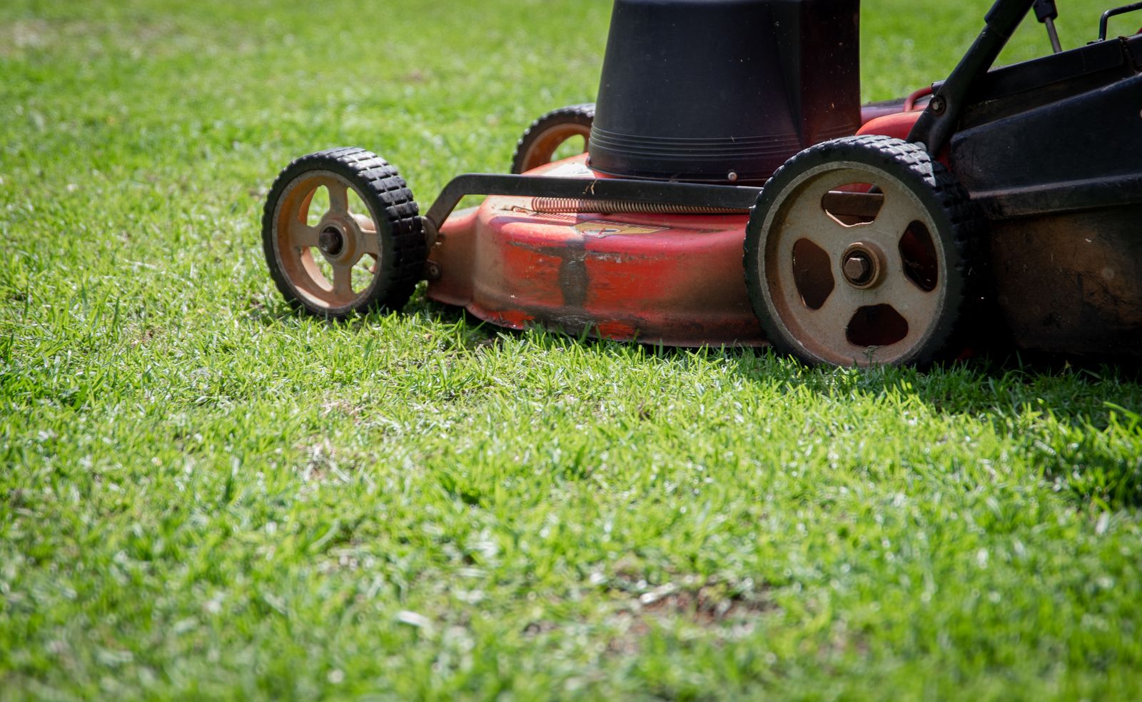 Turfing & New Lawns